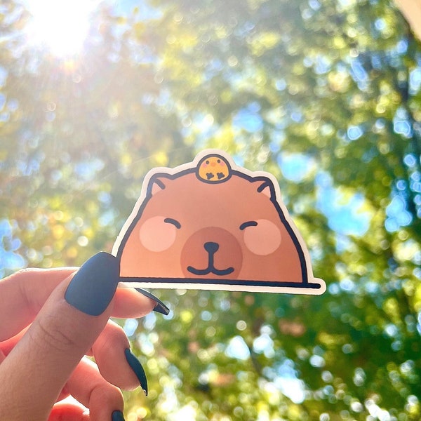 Capybara Peeper Sticker/Capybara Sticker/Peeper Sticker/Cute animal Sticker/Gift for Her/Gift for Him/Gift for Teacher/Scrapbook Stickers
