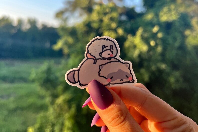 May include: A sticker featuring a cartoon raccoon with a smaller cartoon animal on its back. The raccoon is gray with black eyes and a pink nose. The smaller animal is white with black eyes and a pink nose. The sticker is on a person's hand.