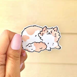 May include: A white and peach cat sticker with black outlines. The cat is sitting with its back to the camera and its tail curled around its body. The cat has a grumpy expression on its face.