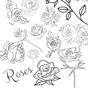 Cursive Roses Color Page Roses Colouring Page - Etsy