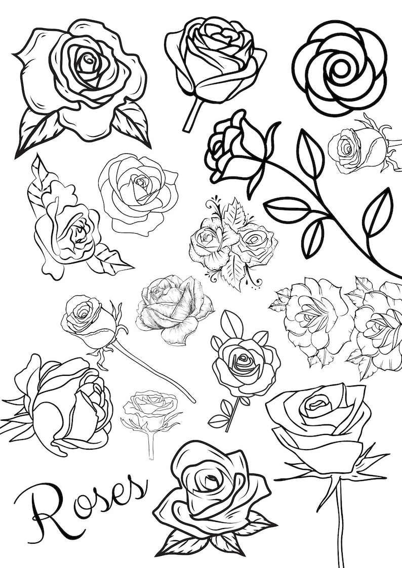 Cursive Roses Color Page Roses Colouring Page - Etsy