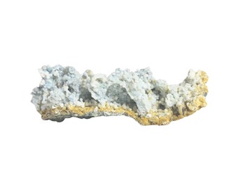 RARE - Botryoidal Blue Chalcedony - D