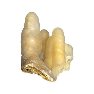 RARE - Bamboo Agate Chalcedony - Tubular - A