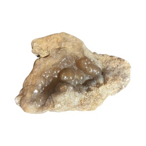 Black Botryoidal Chalcedony Specimen - Standing - A