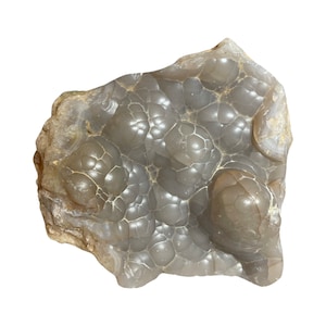 Botryoidal Chalcedony Specimen - Standing - A