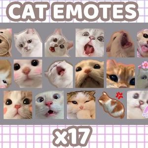 Cats Memes - Twitch and Discord Emotes | Kawaii Cat Emotes | Cute Chibi Cats | Funny Cat Memes | Emojis for Streamers | Twitch Graphics