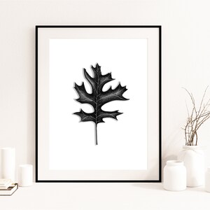 Printable Red Oak Leaf, Hand-Drawn, Original Art, Wall Art, Print, Boho Minimal, Decor, Black and White, JPEG, Instant Digital Download