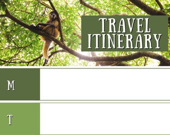 Tropical Travel Itinerary Printable/Digital