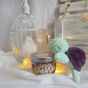 Amigurumi, Turtle, Turtle, Plush Toy, Crocheted, Handmade, Soft, Handmade, Crochet Animal, Stuffed Animal, Elisa