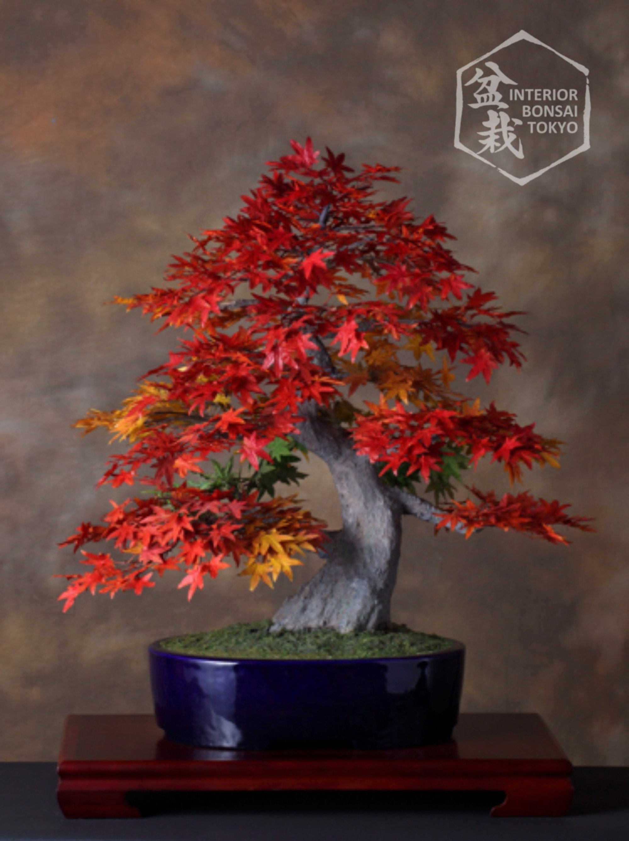 InteriorBonsaiTOKYO - Etsy