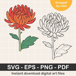 ФаEYOL geschnitten Datei. Die Augen Png, Pdf, Eps. Оририновор крифровов schachtel.