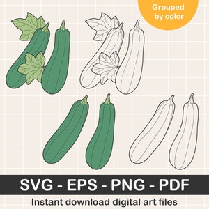 Zucchini Svg File. Instant Download Png, Pdf, Eps. Original Digital Clipart.