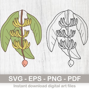 Bananas Instant Digital Download clipart, Banana branch svg files, png, pdf, and eps files! layered svg, files for cricut, digital download