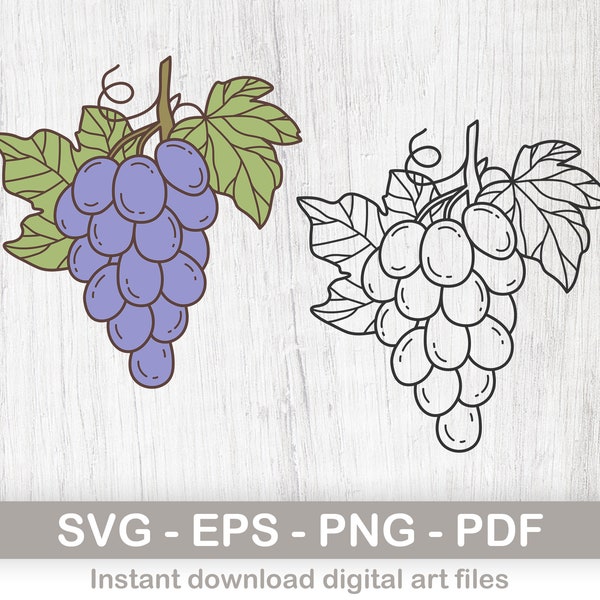 Grapes Instant Digital Download clipart, Grapes svg files, png, pdf, and eps files included! layered svg files for cricut, digital download