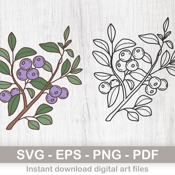 Blueberry Instant Digital Download clipart. Blueberry branch, png, pdf, svg and eps files! layered svg files for cricut, digital download