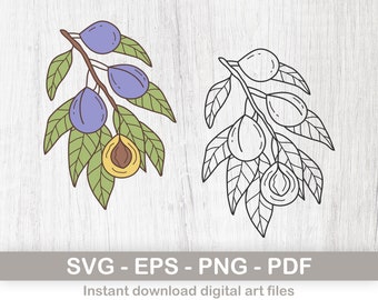 ¡Plum Instant Digital Download clipart, archivos svg de ciruelas, archivos png, pdf y eps incluidos! archivos svg en capas para cricut, descarga digital
