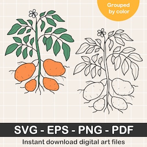Fichier Svg de pomme de terre. Téléchargement instantané au format PNG, Pdf, Eps. Clipart numérique original.