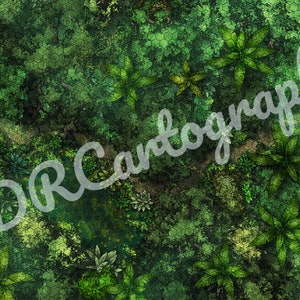 May include: A green and brown jungle scene with a path winding through the foliage. The path is made of dirt and has a hexagonal pattern.