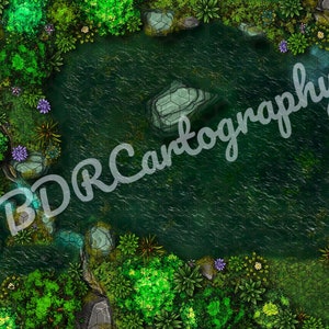 Mapa de batalha digital Woodland Pool DnD