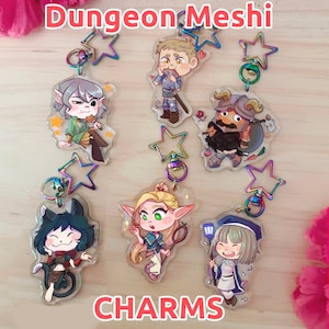 LAST STOCK / CHARMS/ Dungeon Meshi / Delicious in dungeon