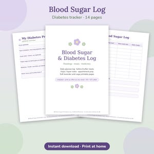 Pode incluir: Um conjunto de 14 páginas de registo de açúcar no sangue e diabetes para imprimir com detalhes florais em lavanda e verde sálvia. As páginas incluem secções para leituras de glicose, refeições, medicamentos e preparação de consultas.