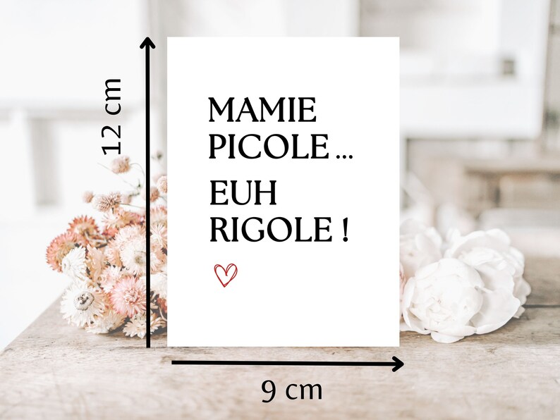 K&ouml;nnte beinhalten: Eine wei&szlig;e Karte mit schwarzem Text, der "MAMIE PICOLE... EUH RIGOLE!" lautet, mit einem kleinen roten Herzen unten. Die Karte ist 9 cm breit und 12 cm hoch.