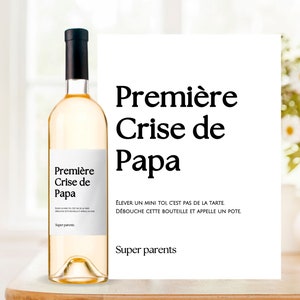 Kit De Survie Drôle Pour Nouveaux Parents - Cadeau Original Maman Papa Baby Shower