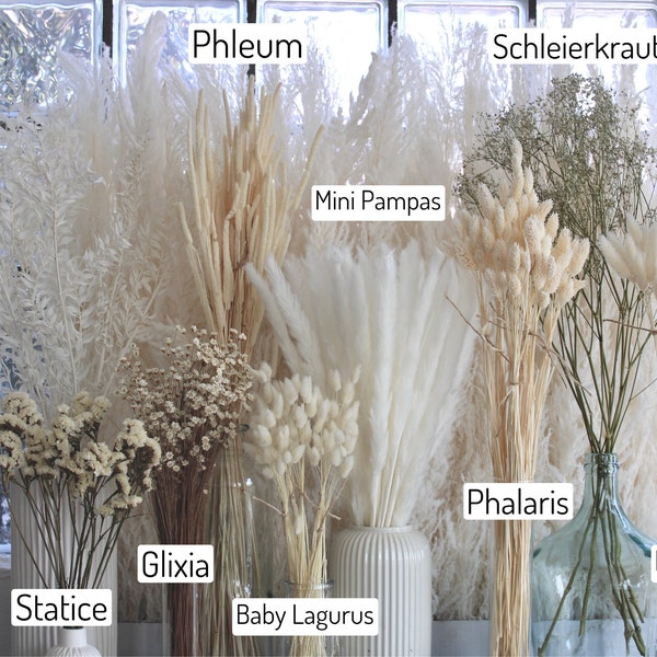 XL dried flower collection, wholesale, white, pampas grass, home decor, arrangements, wedding decoration, Mother's Day, Mother's Day gift,