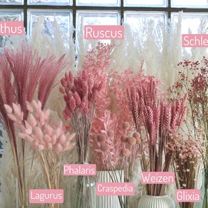 XL wholesale bunches, dried flower collection pink, ruscus, phalaris, wheat, glixia, wedding, valentine's day, mother's day, table decoration
