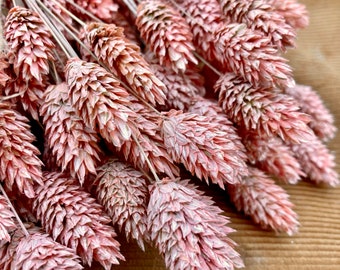 mazzo xl, Phalaris essiccato, vendita all'ingrosso, rosa smerigliato, bouquet di fiori secchi, decorazioni per la casa, decorazioni nuziali, bouquet per la festa della mamma, primavera