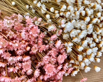 XL BUND Glixia, vendita all'ingrosso, fiori secchi, rosa, bianchi, secchi, bouquet da sposa, regalo di nozze, decorazioni per la casa, decorazioni per la tavola, festa della mamma