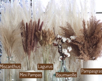 Dried Flower Collection Brown Pampas Grass Home Decor Arrangements Wedding Decor Mothers Day Spring Table Centerpieces Mothers Day Gift