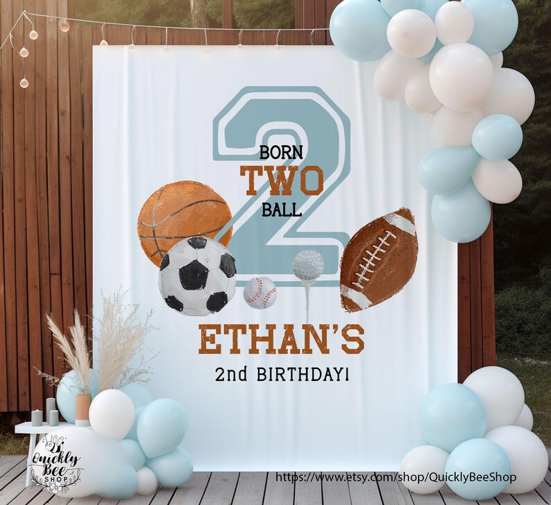 Born 2 Ball Backdrop for Boy, 2nd Birthday Banner, Let's Have a Ball ...
