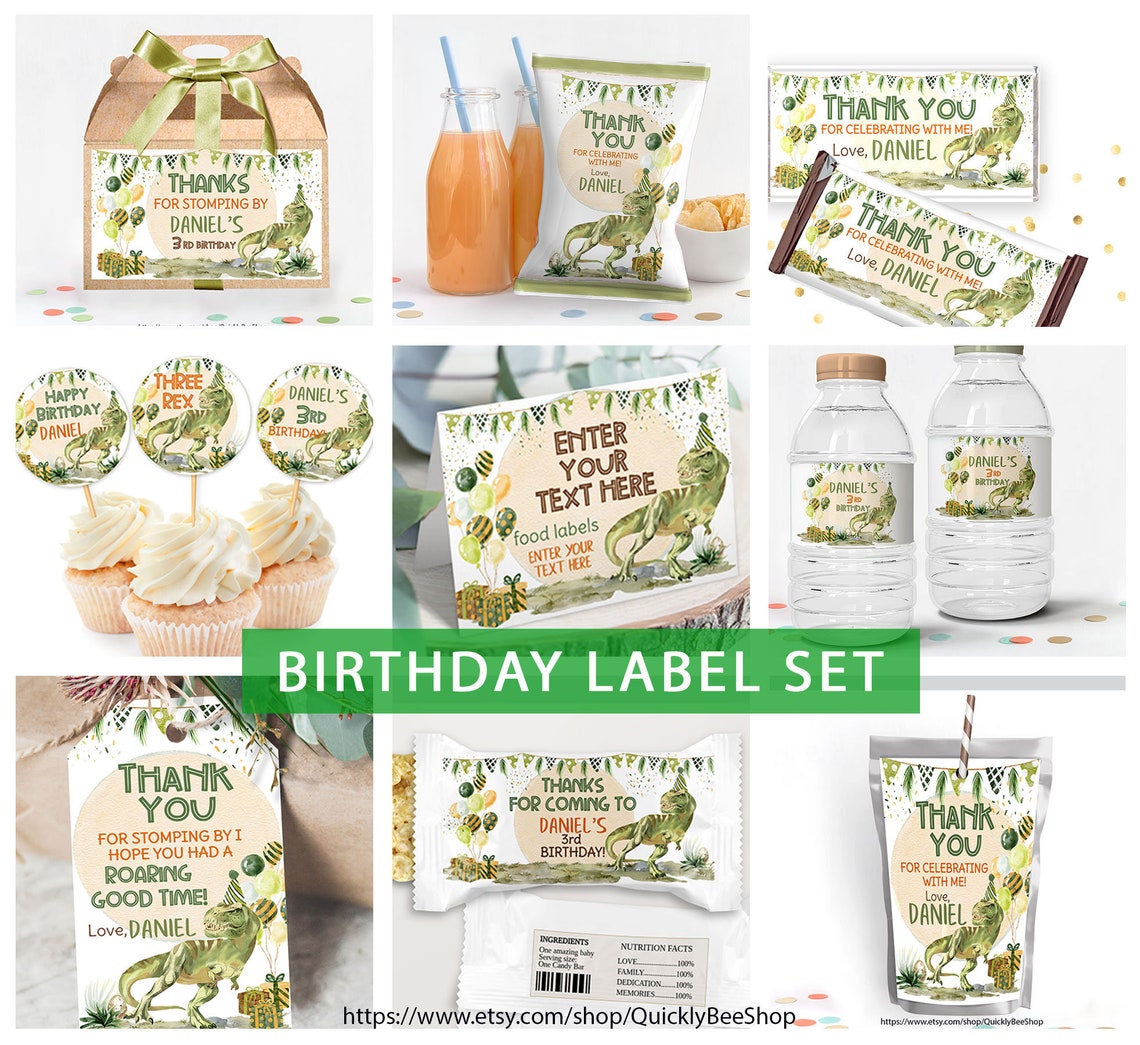 Dinosaur Toss Feed the T-rex Dinosaur Birthday Party - Etsy
