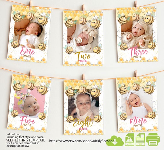 JeVenis 1. Geburtstag Foto Banner Set – Hummel Biene Motive Für 12 Monatsfotos, Inkl. Clips & „Bee One“ Banner