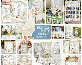 One Silly Goose 1e verjaardag bundel uitnodiging, Strawberry Daisy Goose invite 1e verjaardag bundel, 1e feestvarken, Goose verjaardag vintage