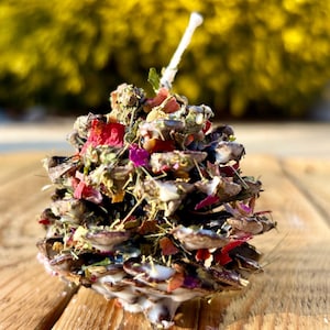 May include: A pine cone filled with dried herbs, flowers, and seeds. The cone is covered in a white wax and has a white wick on top.
