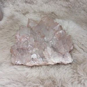 Könnte beinhalten: Eine Ansammlung von blassrosa Quarzkristallen mit zahlreichen spitzen, durchscheinenden Formationen. Das Mineralexemplar zeigt eine natürliche, gezackte Struktur mit verschiedenen Schattierungen von zartem Rosa und klaren Kristalloberflächen.