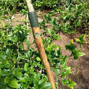 Pode incluir: Uma bengala de madeira com um cristal verde no topo, envolto em fita verde. A bengala tem um design entalhado e um emblema verde e dourado.