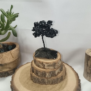 tree of life in obsidian celestial and golden eye