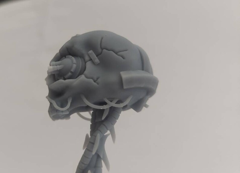 Inquisition Servo Skull warhammer 40k Servo Skull Bust Etsy