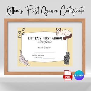 Kitten First Groom Certificate Printable, Cat First Grooming Certificate Canva Template, Pet Salon Grooming Certificate, Grooming Services