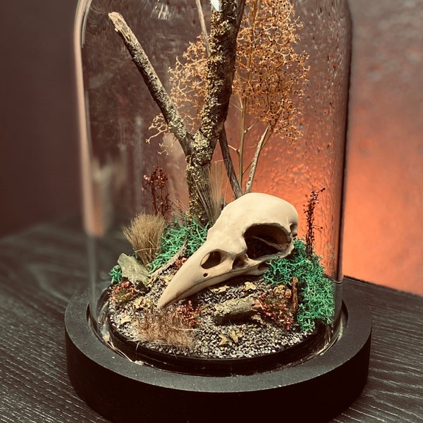 Crâne de corbeau imprimé en 3D sous dôme en verre, peint à la main, déco naturelle et modélisme