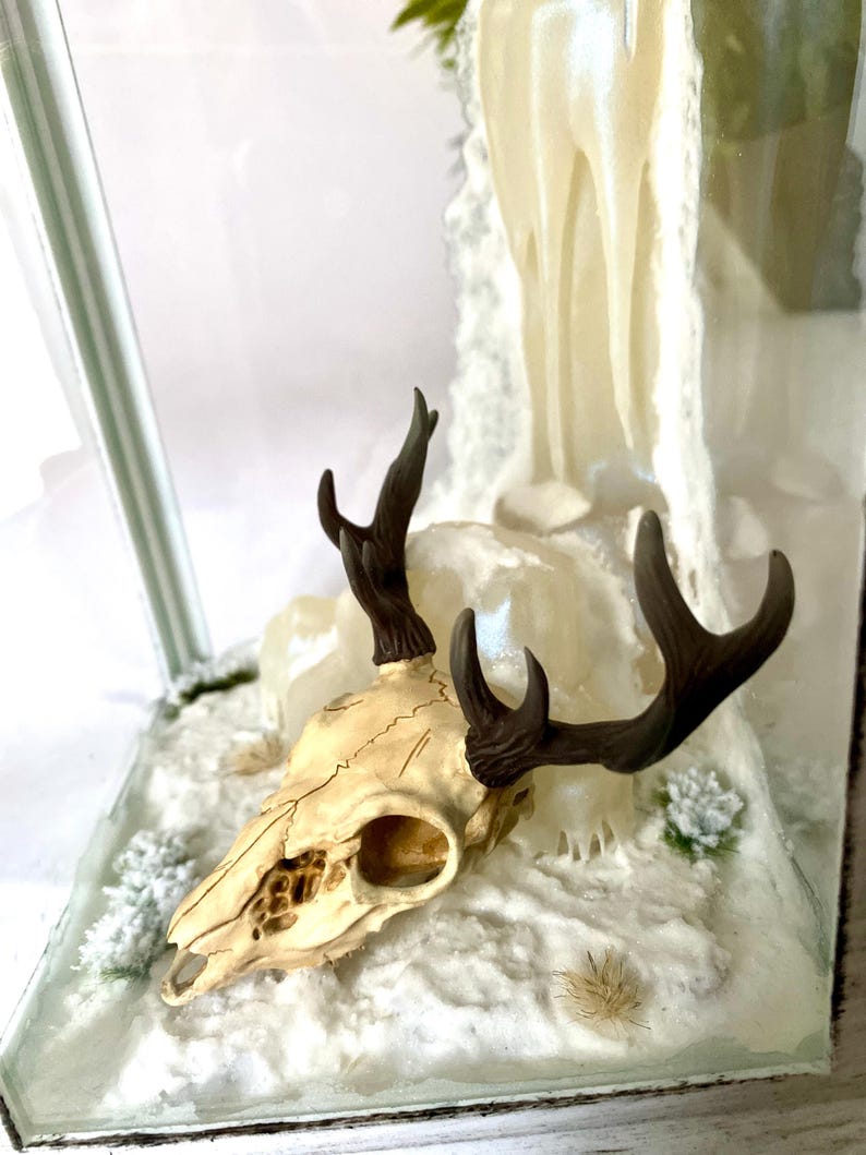 3D Printed Deer Skull in a Lantern - Etsy