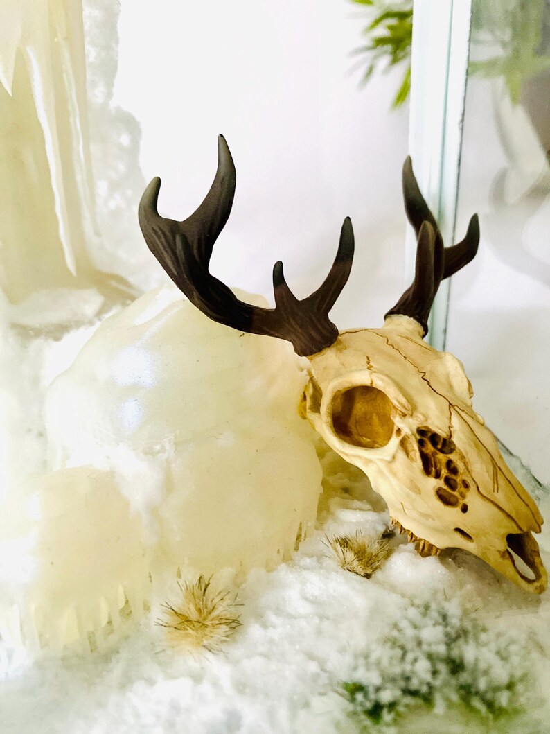 3D Printed Deer Skull in a Lantern - Etsy