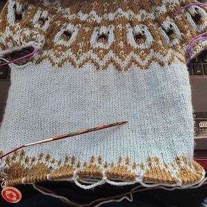 Puede incluir: Un su&eacute;ter tejido a mano, parcialmente terminado, en tonos azul claro y marr&oacute;n. El su&eacute;ter presenta un cuello redondo y un canes&uacute; estampado con motivos geom&eacute;tricos y florales. Se ven agujas de tejer e hilo, lo que indica que la prenda est&aacute; en proceso.