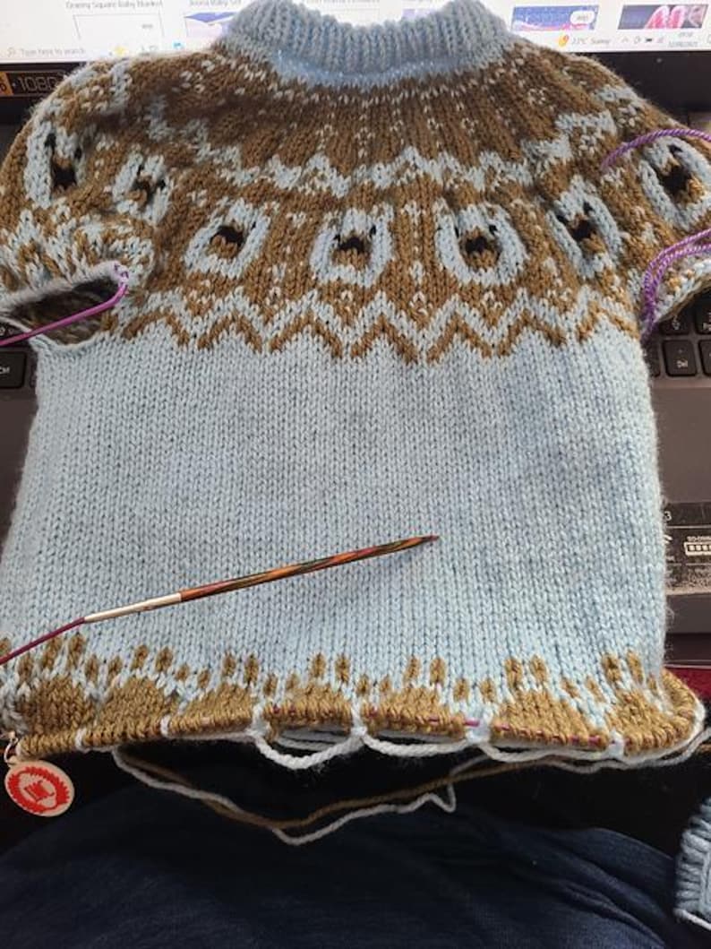 Puede incluir: Un su&eacute;ter tejido a mano, parcialmente terminado, en tonos azul claro y marr&oacute;n. El su&eacute;ter presenta un cuello redondo y un canes&uacute; estampado con motivos geom&eacute;tricos y florales. Se ven agujas de tejer e hilo, lo que indica que la prenda est&aacute; en proceso.