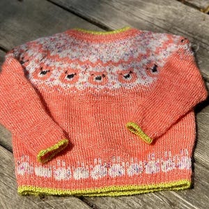 Puede incluir: Jersey de punto color coral con cuello redondo y mangas largas. El jersey presenta un canes&uacute; estampado con detalles blancos, rosas y morados. Los pu&ntilde;os y el dobladillo est&aacute;n ribeteados con hilo verde brillante. El jersey est&aacute; hecho de un hilo suave y texturizado.