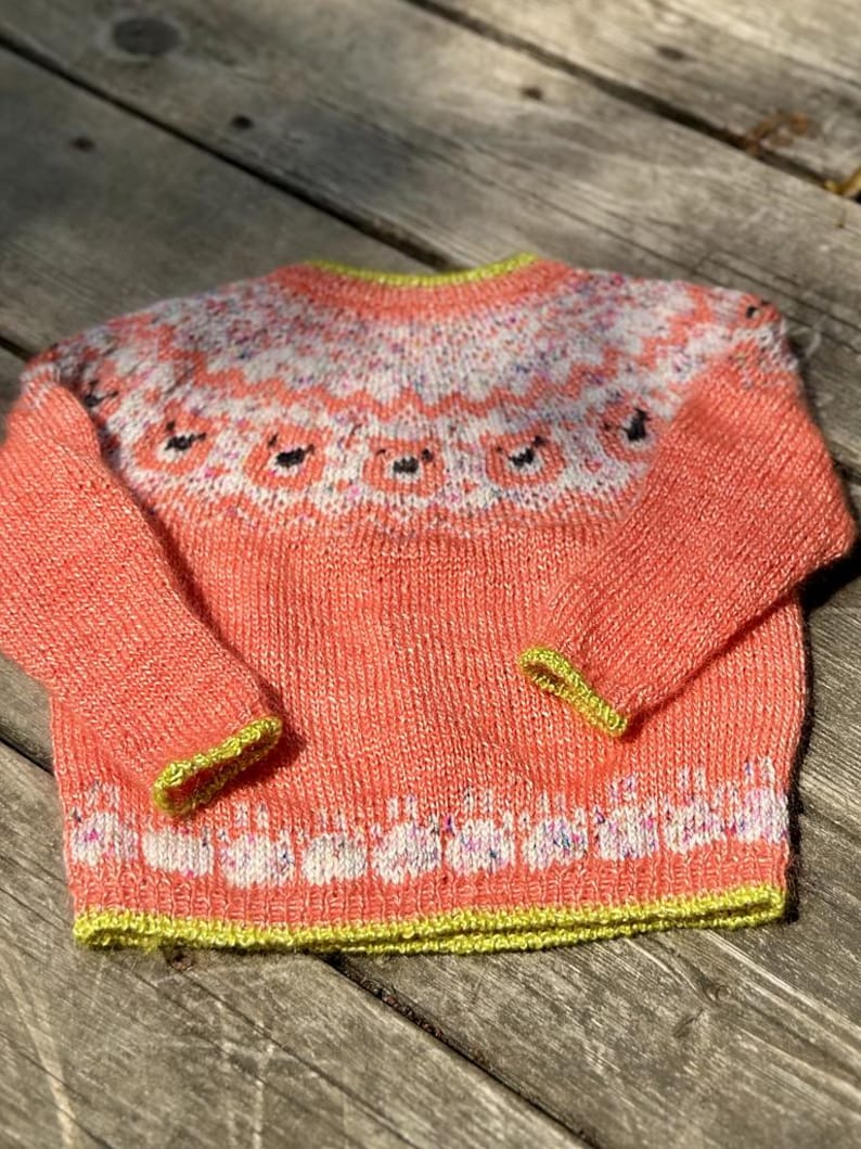 Puede incluir: Jersey de punto color coral con cuello redondo y mangas largas. El jersey presenta un canes&uacute; estampado con detalles blancos, rosas y morados. Los pu&ntilde;os y el dobladillo est&aacute;n ribeteados con hilo verde brillante. El jersey est&aacute; hecho de un hilo suave y texturizado.