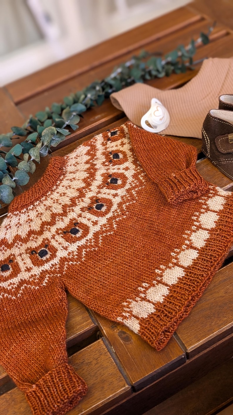 Puede incluir: Jersey de beb&eacute; de punto color &oacute;xido con un estampado geom&eacute;trico crema y negro. El jersey se exhibe sobre una superficie de madera con un chupete, un babero y un par de zapatos de beb&eacute; de ante marr&oacute;n.